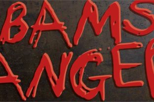 Bams Anger: Evaluating Its Role in Emotional Expression and Anger Management