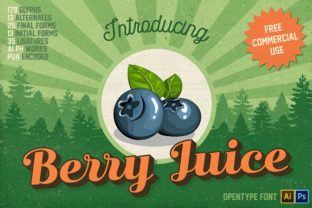 Berry Juice: A Vintage Typeface That Brings Character to Modern Design