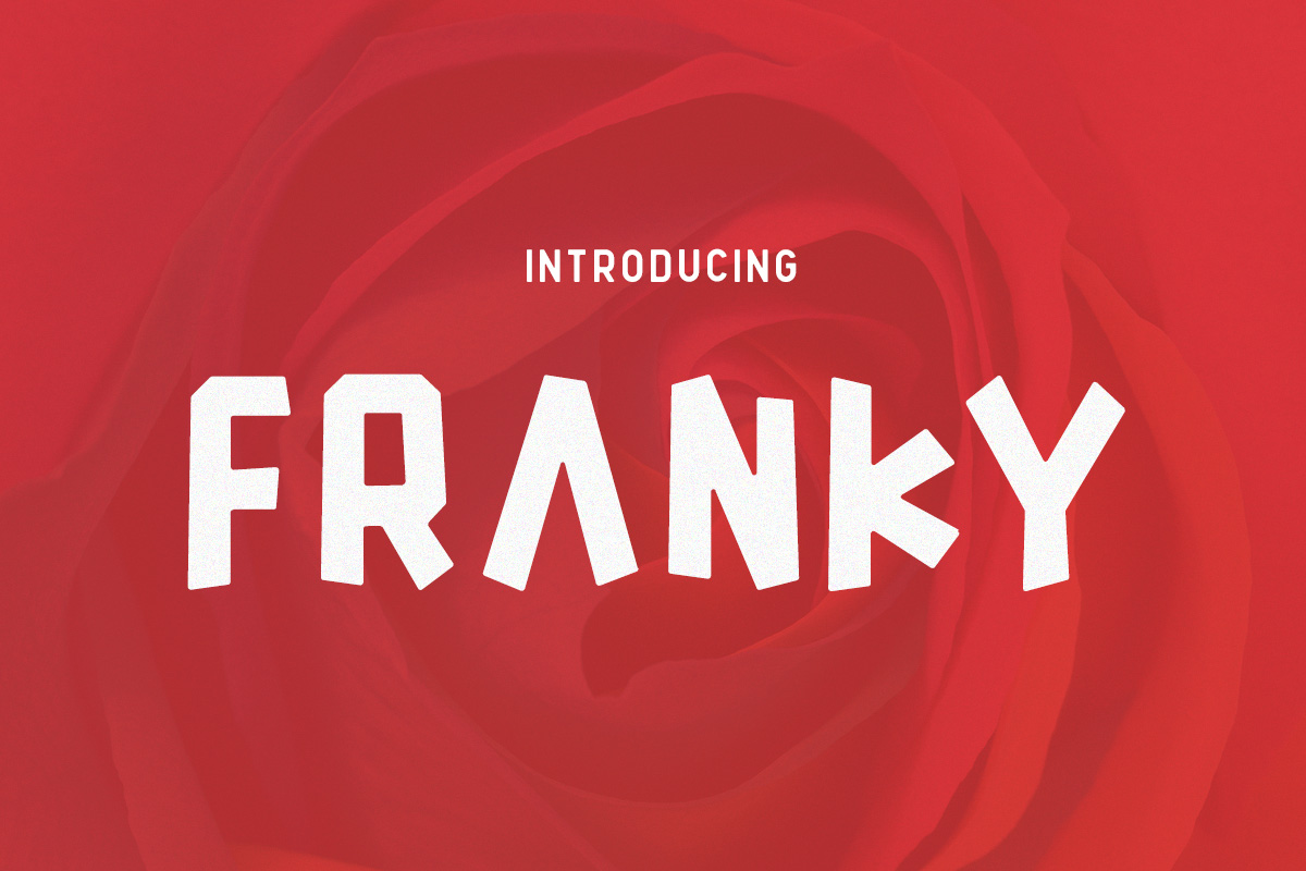 Franky: A Blocky Font with Bold Character