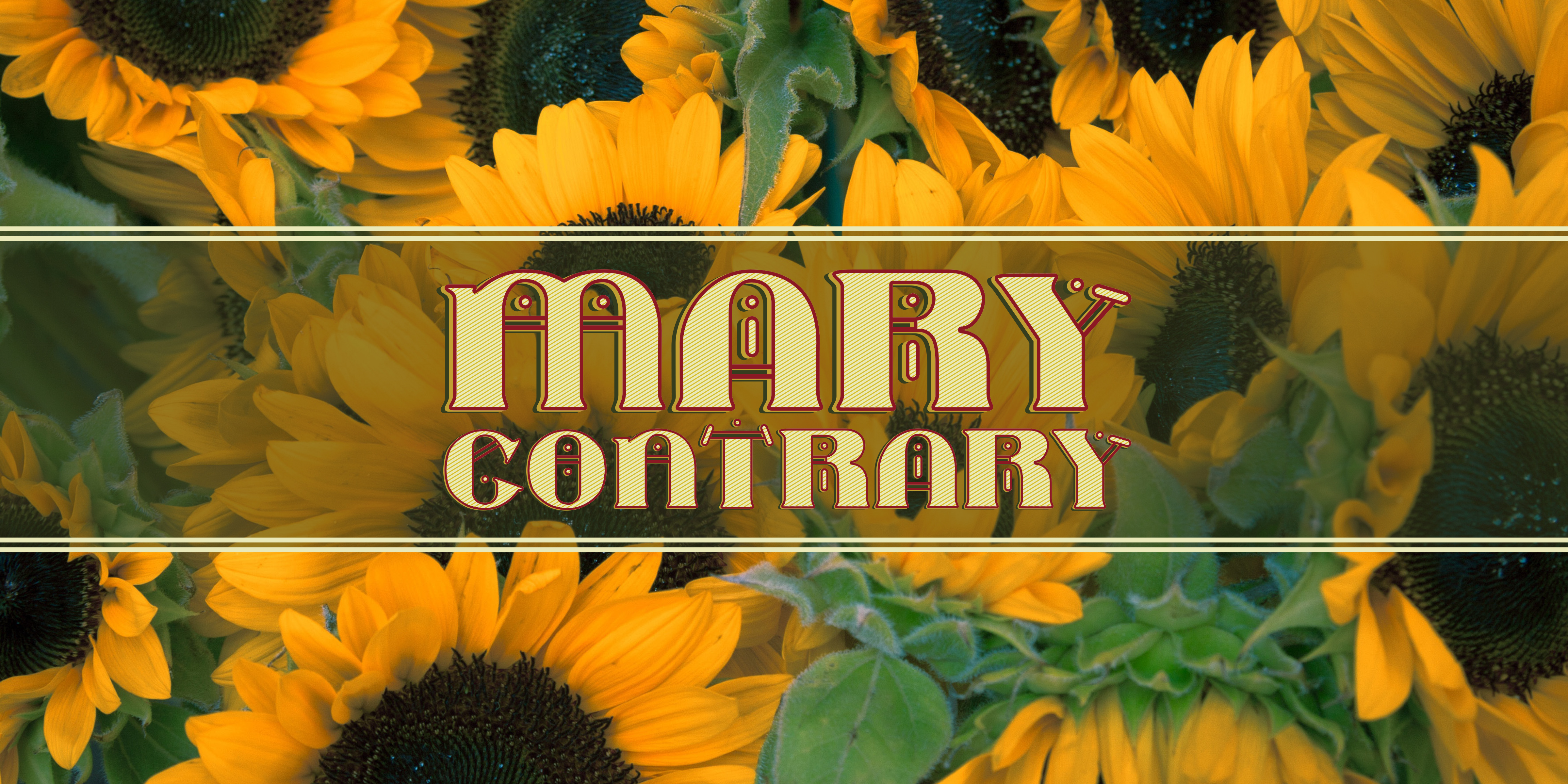 Mary Contrary: Evaluating the Decorative Font Inspired by Sequined Spiders
