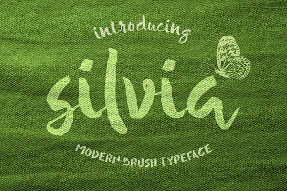 Silvia: A Painterly Display Font with Laid-Back Charm